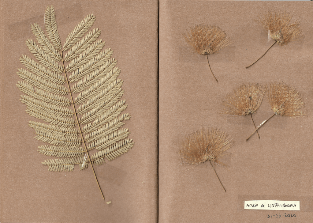 Hoy también es&nbsp;primavera